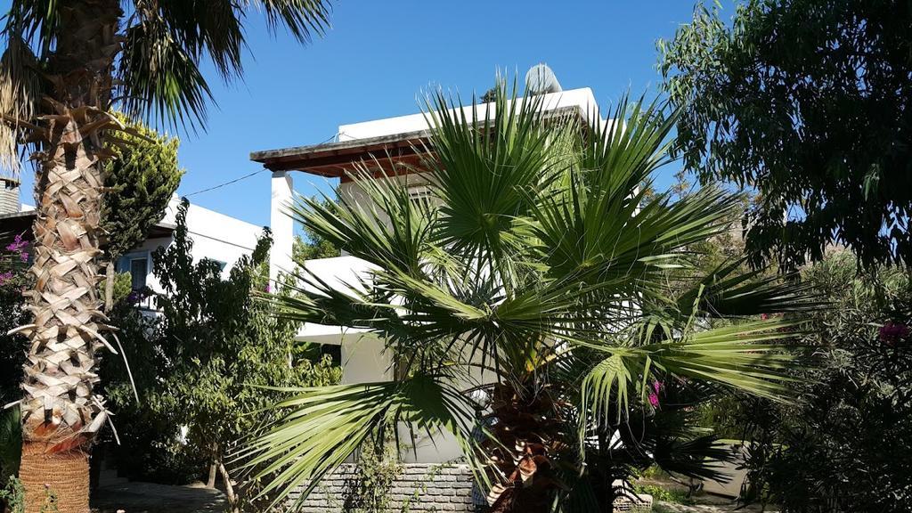 Alfa Apartments Bodrum Exterior foto